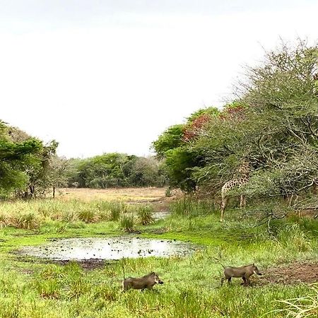 Lazuli Bush Lodge Hluhluwe Eksteriør billede