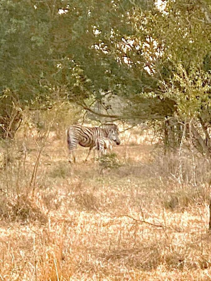 Lazuli Bush Lodge Hluhluwe Eksteriør billede