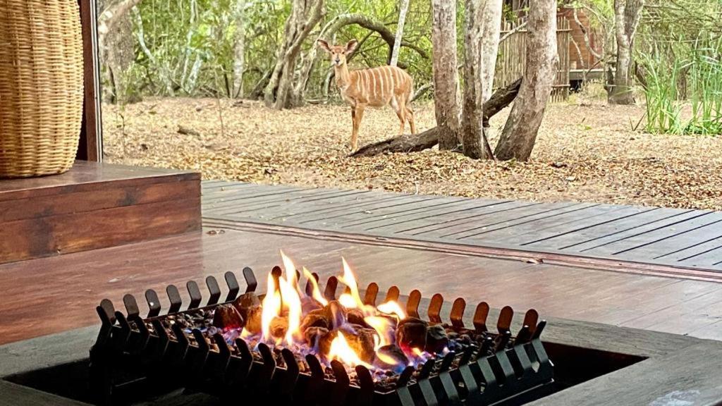 Lazuli Bush Lodge Hluhluwe Eksteriør billede