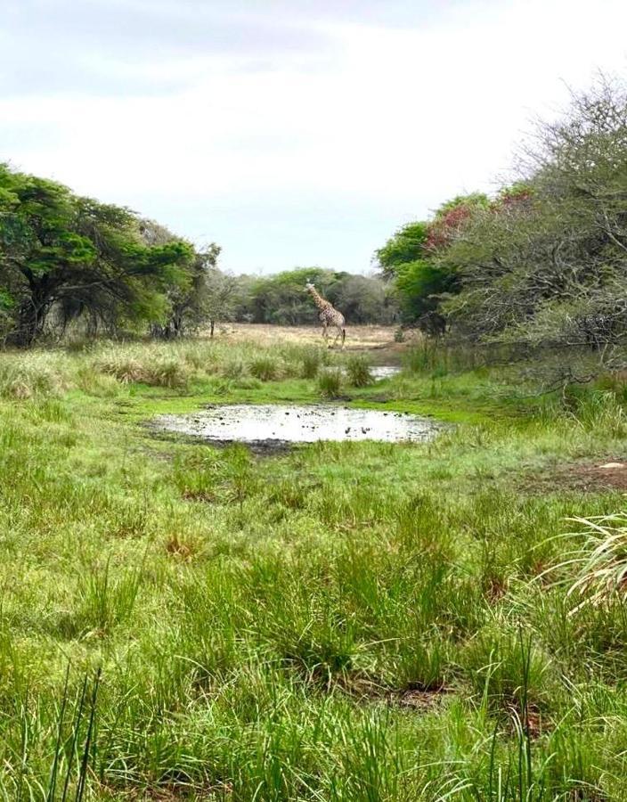 Lazuli Bush Lodge Hluhluwe Eksteriør billede